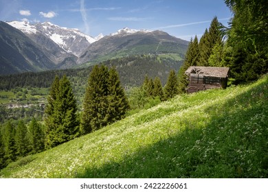 Old wooden shed with a hole in de wooden tile roof. The shed in a green alpine meadow looks out over the valley and bellwald with snow on the mountains in spring in Valais in Switzerland. - Powered by Shutterstock