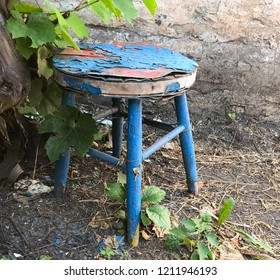 An old wooden stool with blue cracked paint stands near a vine bush with fresh green foliage. Old homely objects thrown out to the environment