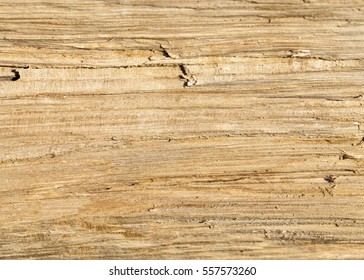 12,452 Exposed wood Images, Stock Photos & Vectors | Shutterstock