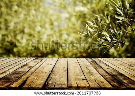 
Old wooden table  for product display with natural green olive field bokeh background. Natural vintage tabletop persepective and blur olive tree layout design.