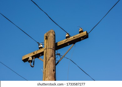 Wooden Telephone Pole Images Stock Photos Vectors Shutterstock