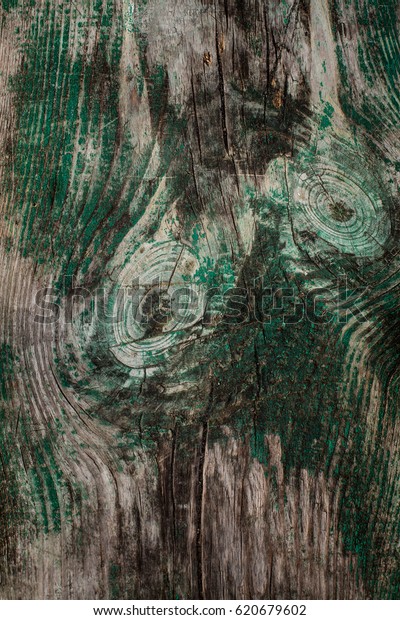 Old wooden texture.\
Annual rings on the tree. The old board, with wooden knots and\
cracked, layered rough surface, divided by annual growth lines.\
Background texture 