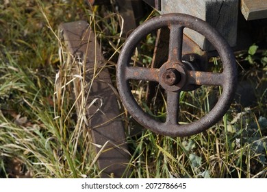 Old wooden wagon overgrown with grass. Close-up on an iron wheel. The wood is rotten and the metal rusty. The grass overgrows the object.