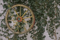 An Old Wooden Wagon Wheel Has Found A Nice Use Again And Decorates A Facade That Is Overgrown With Ivy.