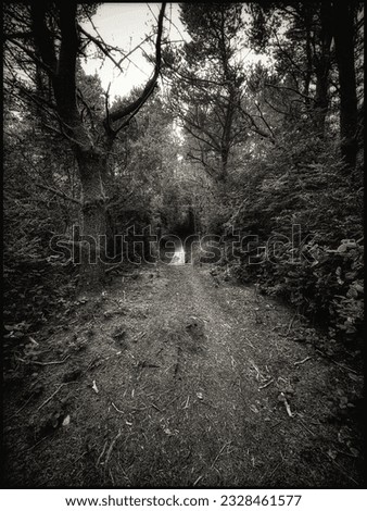 Similar – Holzweg Umwelt Natur