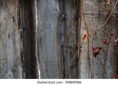 An old wooden wall in an abandoned building