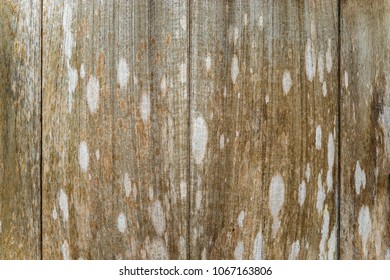 Old Wooden Wall Use For Background.lt Damage By Weather. 