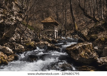 Old wooden watermill besides a stream in Zarozje forest. View of abandoned mystical mill with mossy rocks lying in Rogacica river in springtime. Water Mill is home of Serbian vampire Sava Savanovic. Stok fotoğraf © 