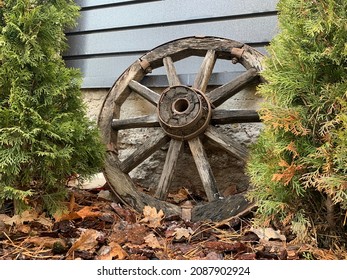 Old wooden wheel from a horse cart. Detail of a wooden old carriage. Decorations in the yard: a wooden wheel against a background of trees and green grass.