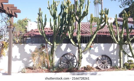 Old wooden wheel, white wall in mexican rural homestead garden. Succulent plants in provincial village, countryside rustic ranch decor. Country home in California in greenery, tall cacti or big cactus