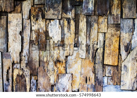 Old woodenTexture background