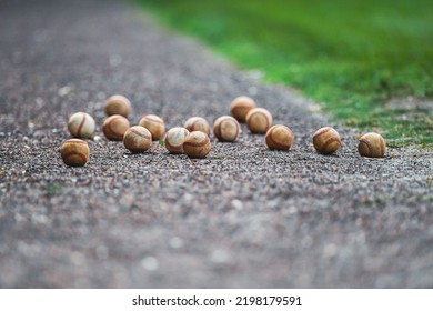 Old, Worn Baseballs On High School Baseball Field