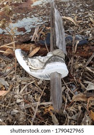 Old Worn Grey And White Tennis Shoe Impelled With Distressed Wooden Stake With Withered Brown Debris