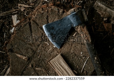 Old worn out rustic axe on wood stump
