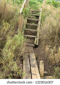 Old Worn Wooden Steps Gang Plank Image