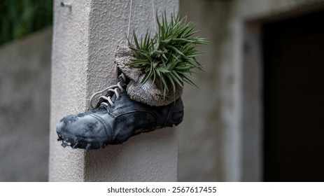 An old, worn-out boot repurposed as a hanging planter, with green plants growing inside. The creative decoration is displayed outdoors against a neutral wall.