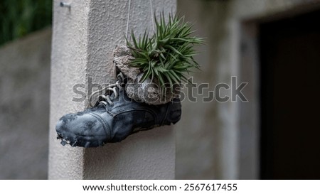An old, worn-out boot repurposed as a hanging planter, with green plants growing inside. The creative decoration is displayed outdoors against a neutral wall.
