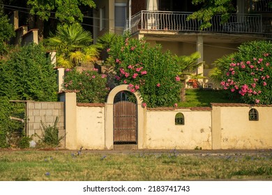 Old Yellow, House Wall. Facade. Pink Flowers, Green Plant.