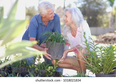 Older Couple Gardening Together