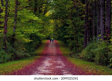 Older Couple Holding Hands While Walking In The Park