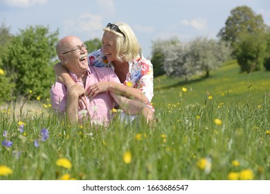 Older Couple Laughing Together In Meadow