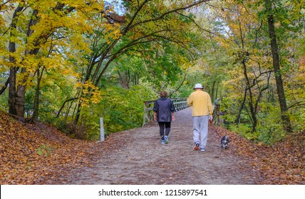 Older Couple Walking On A Trail For Exercise With A Dog In The Fall; Colorful Woods On Both Sides; Woman Is Overweight