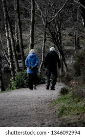 Older Couple Walking Together Through Forest Woods Woodland Together Togetherness Love Unity In It Together Memories Healthy Lifestyle Fresh Air Love Loyal Marriage Longevity 