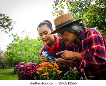 Older Couples Are Planting Flowers On Holidays In The Public Park.