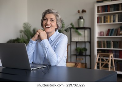 Older Generation And Modern Tech, Workflow In Office, Happy Successful Businesslady Portrait, Achievement Concept. Optimistic Middle-aged Businesswoman Sit At Desk With Laptop Smile Staring At Camera