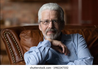 Older Grey-haired Bearded Caucasian Single Man In Glasses Sit On Sofa Indoor Look At Camera. Generation X Citizen Person, Eye Vision Care Clinic Eyewear Store Ad, Healthy Retired Male Portrait Concept