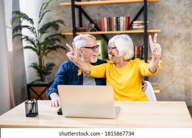 Older Grey-haired Husband And Wife Looks On Laptop Indoor With A Winery Smiles. Excited Mature Couple Reading Good News On Computer, A Wife Is Shows Victory Gestures