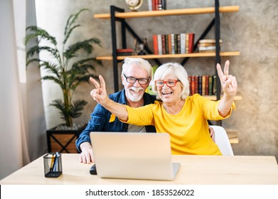 Older Grey-haired Husband And Wife Looks On Laptop Indoor With A Winery Smiles. Excited Mature Couple Reading Good News On Computer, A Wife Is Shows Victory Gestures