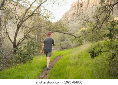 Older Man Hiking With Stick On Trail In California