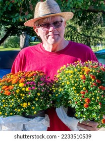 An older man proudly holds chrysanthemum plants he just purchased at a garden center - Shutterstock ID 2233510539