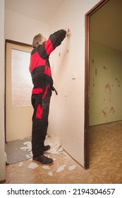 Older Man Removing Old Wallpapers Off The Walls In Empty Apartment