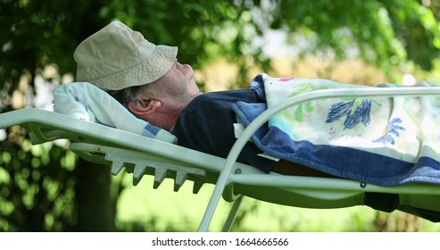 Older man taking a nap outside in nature. Senior retired person sleeping under tree