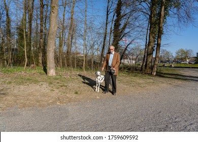 Older Man Walking With Dog. Old Man On His Evening Stroll With His Dalmatian Dog In Sunshine. Woodland Illuminated By Evening Sun. Man And Dog Looking To Camera.