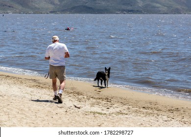 Older Man Walking His Dog Off Leash On A Beach