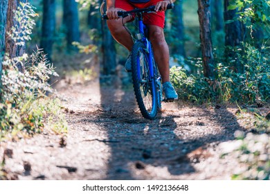 Older Overweight Man Rides A Mountain Bike Through The Woods Using Extreme Effort.