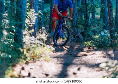 Older Overweight Man Rides A Mountain Bike Through The Woods Using Extreme Effort.