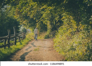 Older Person Taking A Stroll With A Dog On A Fire Road On Countryside In Evening Hours With Soft Warm Sun. Path, Trees And Wooden Fence Are Visible.