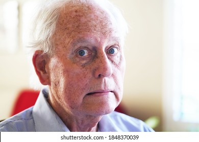 Older, Retired, Senior Man Looks Scared For A Closeup Portrait In His Living Room With The Sun Coming Through The Window And Wearing A Striped, Blue, Collared Shirt                             