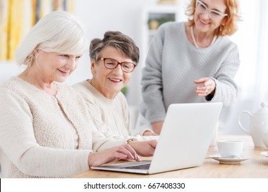 Older Smart Woman Using New Laptop On A Meeting