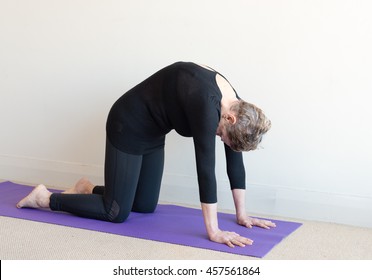 Older Woman In Black Yoga Clothing On Purple Mat In Cat Stretch Posture