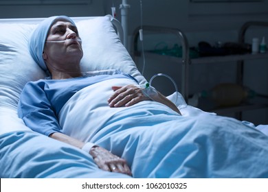 Female Patient Undergoing Ct Scan Hospital Stock Photo (Edit Now ...