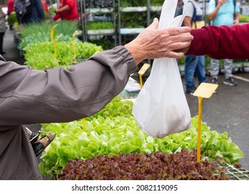 Older Woman Buying Vegetables At A Market, . Market Concept