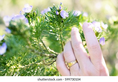 An Older Woman Getting Married