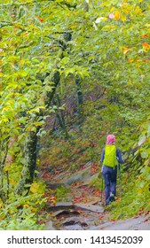 Older Woman Hiking On Appalachian Trail In Smoky Mountains National Park