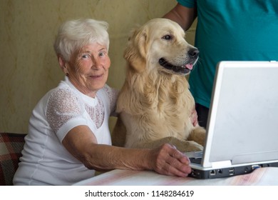 older woman, laptop and dog - Powered by Shutterstock