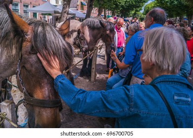 Older Woman Petting A Brown Horse On A Horse Market In Voorschoten, The Netherlands 2017.